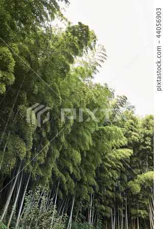 Dongkuk, Gunsan, Jeonbuk Dongkuk, Gunsan, Jeonbuk 44056903