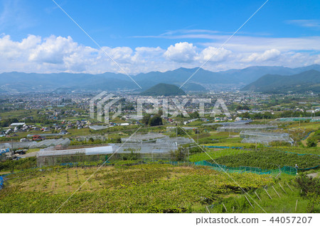 從Ushio Miharashi山看見的甲州市 44057207