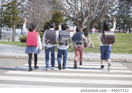Elementary school student crossing a pedestrian crossing Elementary school student crossing a pedestrian crossing 44057322