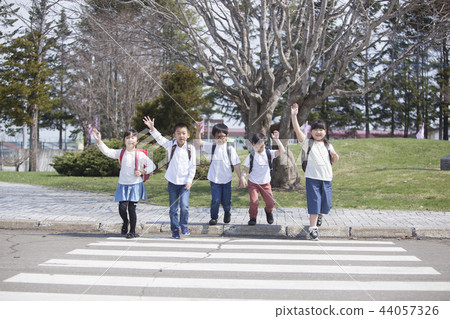 Elementary school student crossing a pedestrian crossing 44057326