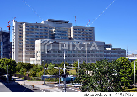 Cancer Research Group Ariake Hospital 44057456