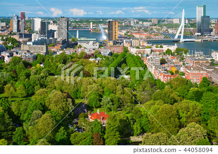 View of Rotterdam city and the Erasmus bridge  44058094