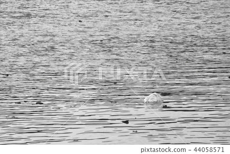 plastic bag floating and make pollution on canal plastic bag floating and make pollution on canal 44058571