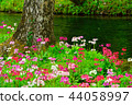 Visit of early summer 44058997