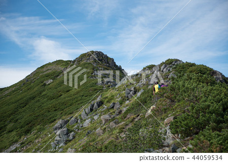 Aim for Hororojidake via Chiloro Route, from Seven Marshes to Horojiridake Aim for Hororojidake via Chiloro Route, from Seven Marshes to Horojiridake 44059534