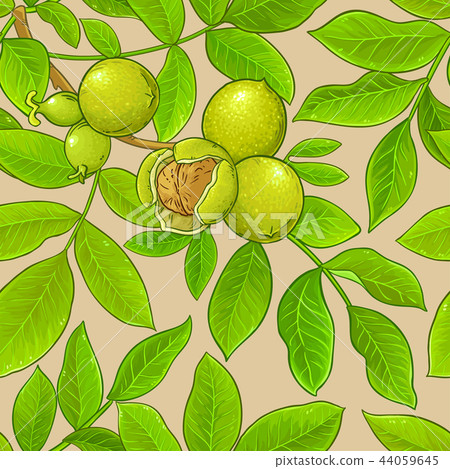 walnut vector pattern 44059645