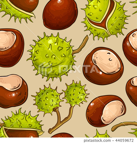 chestnut vector pattern 44059672