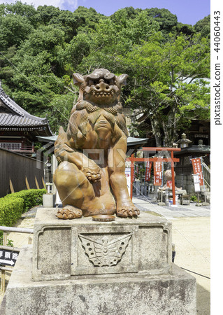 Yuka Shrine Motomiya Shiba Inu 44060443