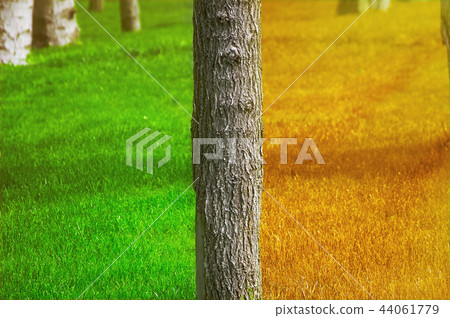 Summer and Autumn 44061779