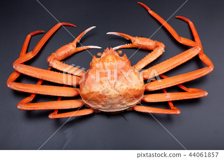 螃蟹食物 44061857