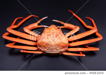 Crab food Crab food 44061859