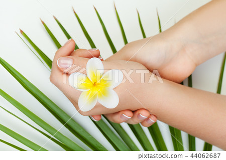Spa manicure. Beautiful female hands with flowers 44062687