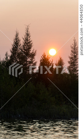 Lake Huron landscape sunset with conifer tree silhouettes 44064850