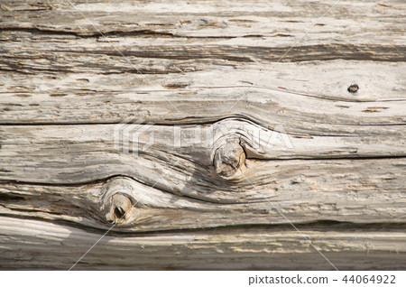 Weathered silvery cedar lumber wood background wallpaper Weathered silvery cedar lumber wood background wallpaper 44064922