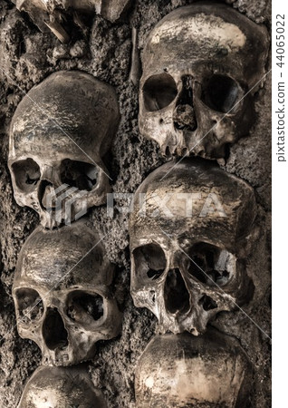Human skulls and bones at a wall in the bone chapel Evora 44065022