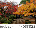 Japan's fall-gradient of autumn leaves 44065522