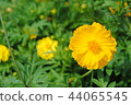 Cosmos 44065545