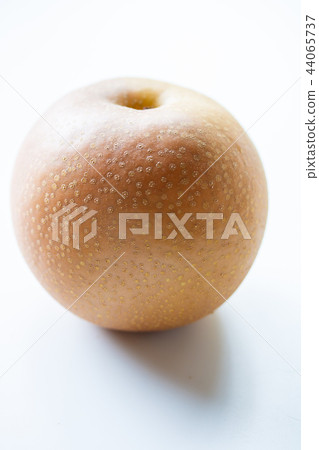 梨 梨 44065737