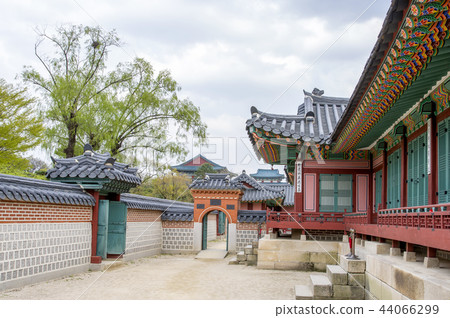 Gyeongbokgung 44066299