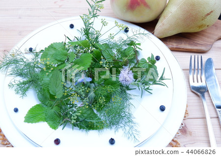 Herb Spice Seasoning Herb Spice Seasoning 44066826