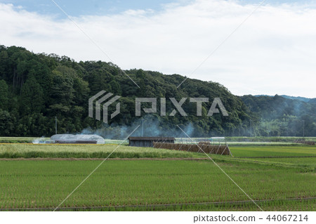 Rural landscape early autumn Rural landscape early autumn 44067214