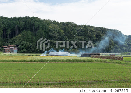 Rural landscape early autumn Rural landscape early autumn 44067215