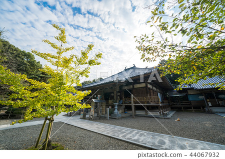 第67個票據站(四國88個地方Reijo)Daikoji大廳 第67個票據站(四國88個地方Reijo)Daikoji大廳 44067932