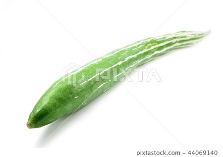 Snake gourd isolated 44069140