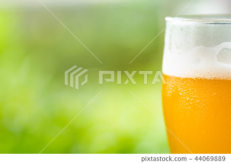 glass of cold craft beer glass of cold craft beer 44069889