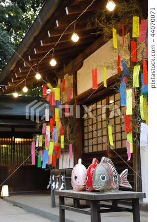 Tanabata ornaments and shrines of shrines 44070071