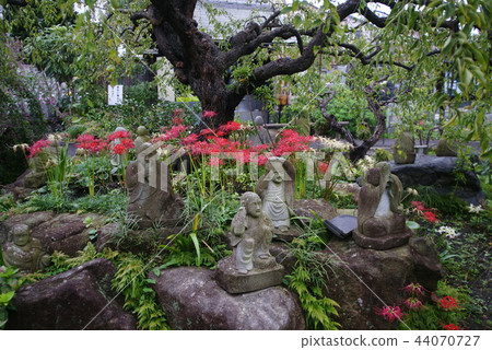 Stone Buddha and Higanbana 44070727