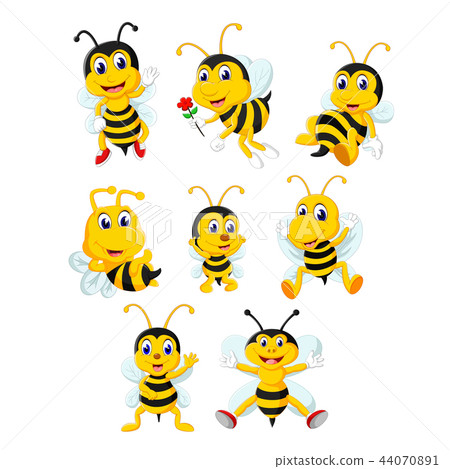 the collection of the yellow bee  44070891