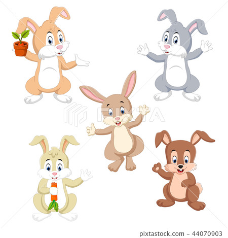 the collection of the rabbits-插圖素材 [44070903] - PIXTA圖庫