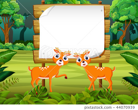 the wooden board blank space with two cute dear the wooden board blank space with two cute dear 44070939