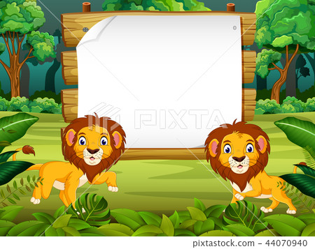 the nature view with the wooden board blank space the nature view with the wooden board blank space 44070940