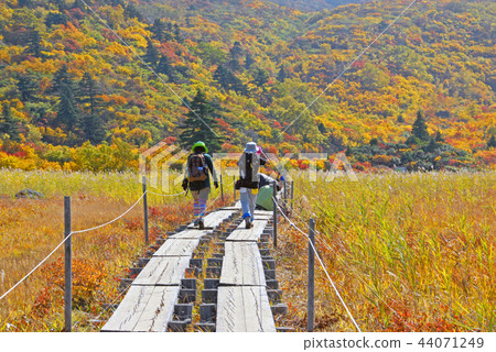 Kurikoma mountain trekking of colored leaves 44071249