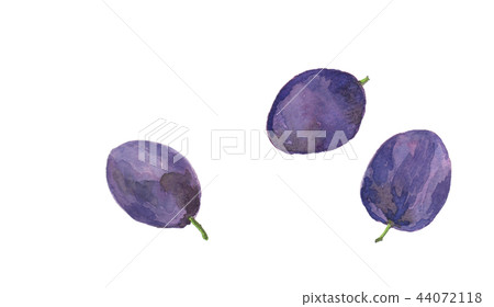 white background, illustration, watercolour 44072118