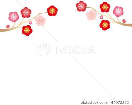 Plum 15 44072263