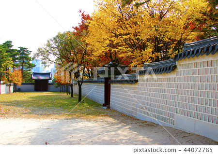 Gyeongbokgung Palace, fence, maple, 44072785