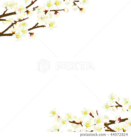 李子開花框架例證 李子開花框架例證 44072824