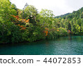 Nature of Lake Shibetsu 44072853