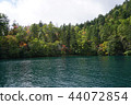 Nature of Lake Shibetsu 44072854