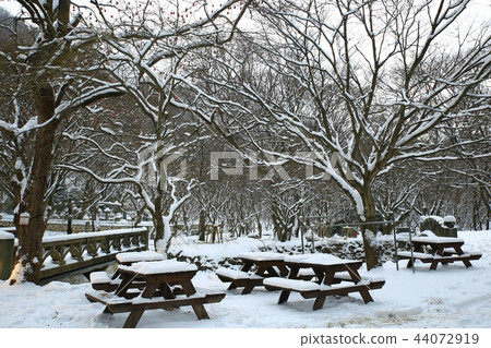 雪，雪，冬天，冬天世界，雪，船長 44072919