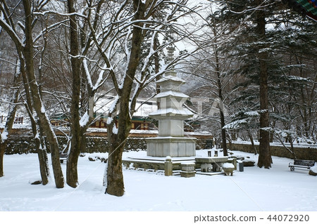 Snow snow, snow, winter, winter world, snow, captain Snow snow, snow, winter, winter world, snow, captain 44072920