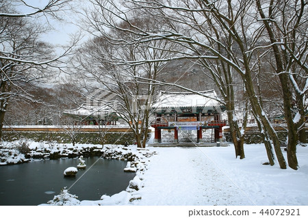 Snow snow, snow, winter, winter world, snow, captain 44072921