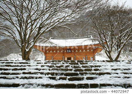 Snow snow, snow, winter, winter world, snow, captain 44072947