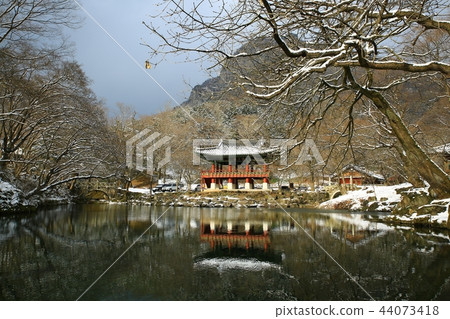 Snow snow, snow, winter, winter world, Baekyangsa 44073418