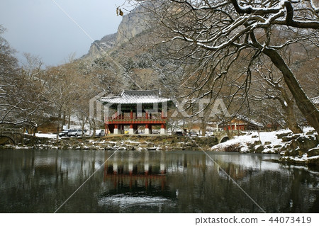 Snow snow, snow, winter, winter world, Baekyangsa 44073419