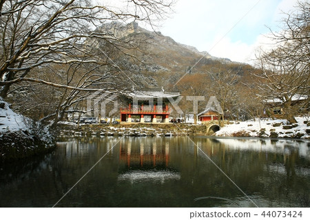 Snow snow, snow, winter, winter world, Baekyangsa 44073424