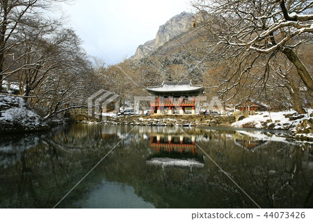 雪,雪,冬天,冬天世界,白楊沙 雪,雪,冬天,冬天世界,白楊沙 44073426